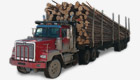 Repuestos Western Star 6900 XD