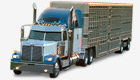 Repuestos Western Star Low Max